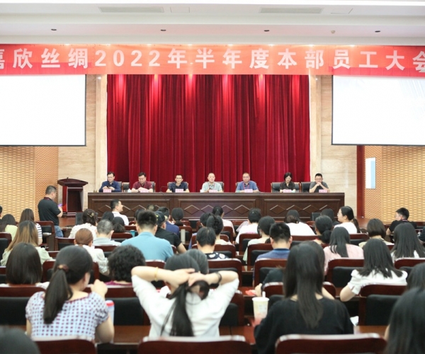 尊龙集团官网丝绸召开2022半年度总部员工大会