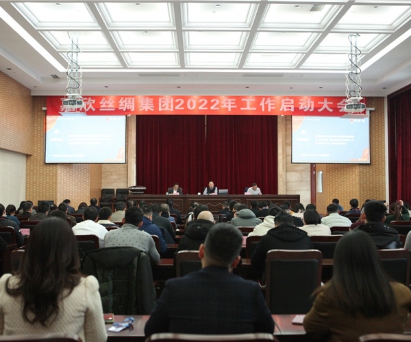 尊龙集团官网丝绸集团召开2022年工作启动大会